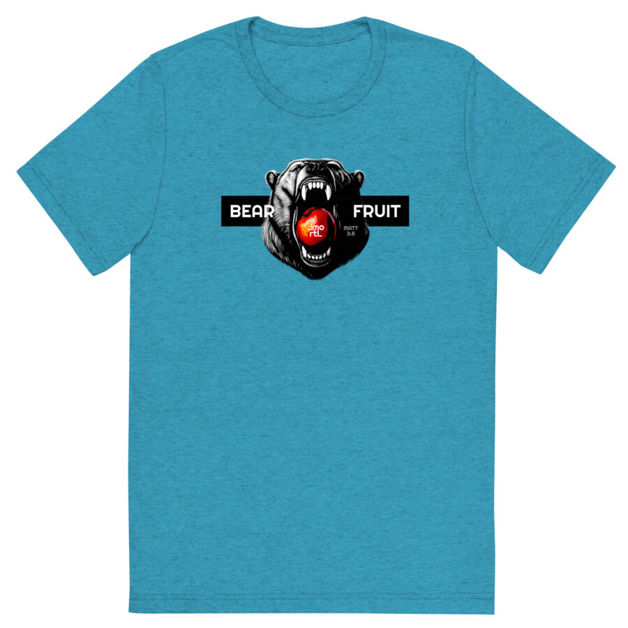 christian bear fruit t-shirt unisex  aqua triblend front