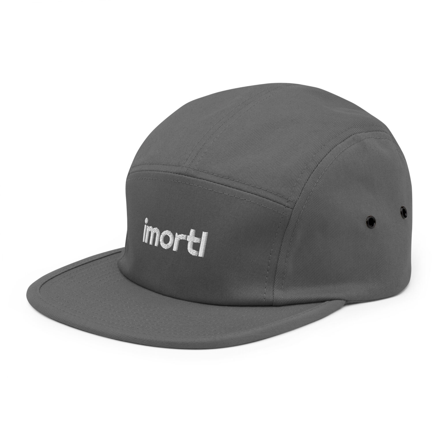 panel cap grey left front ba.jpg