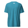 lord-lier-lunatic-christian-t-shirt-aqua-triblend-back