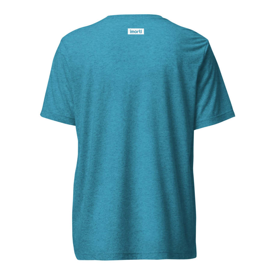 lord-lier-lunatic-christian-t-shirt-aqua-triblend-back