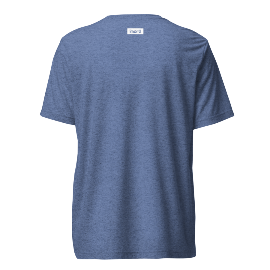 lord-lier-lunatic-christian-t-shirt-blue-triblend-back
