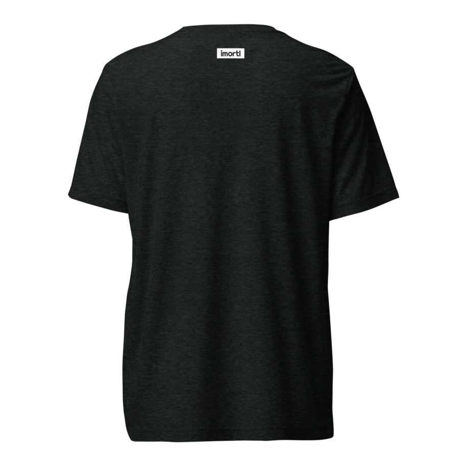 lord-lier-lunatic-christian-t-shirt-charcoal-black-triblend-back.png