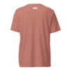 lord-lier-lunatic-christian-t-shirt-mauve-triblend-back