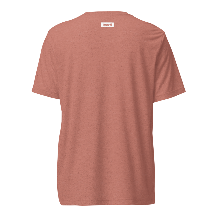 lord-lier-lunatic-christian-t-shirt-mauve-triblend-back